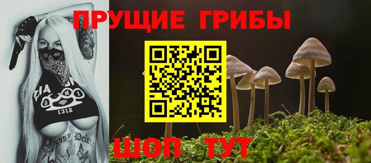 Псилоцибиновые грибы Psilocybine cubensis  Псилоцибиновые грибы Cubensis  где продают   Южно-Сахалинск  Вход с VPN 
