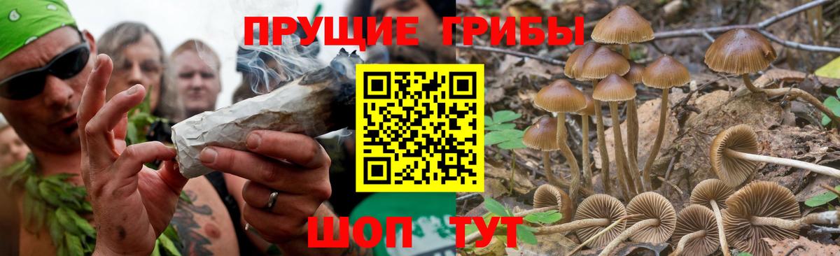 Псилоцибиновые грибы MAGIC MUSHROOMS Южно-Сахалинск